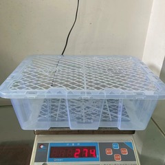 使い捨てプラスチック回転かごレイシ包装枠8斤入透明新料果物輸送枠龍眼李子