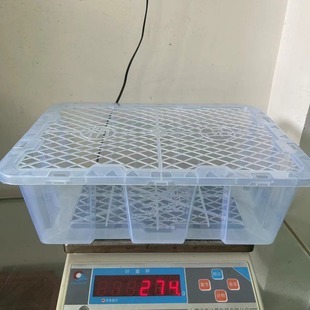 Disposable Plastic Turnover Basket Lychee Packaging Frame 4kg Pack Transparent New Material Fruit Transport Frame Longan Plum