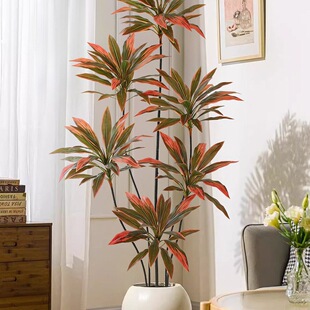 �콶�پGֲ�bt�F���҃����Դ�����ؔ[���͏d�p�ݷ���ֲ��