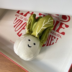 Insは白菜のストラップを責めて野菜果物の白菜のぬいぐるみのバッグのキーホルダーを飾ってGJ015を飾った
