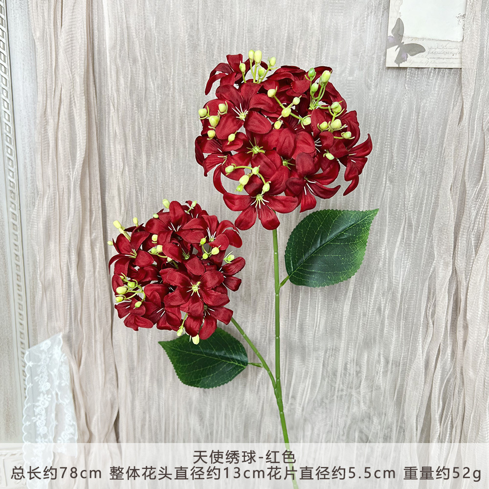 Xq-angel hydrangea-red