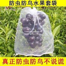 x͸ԷB״W״oݮϹ{ݮˮW