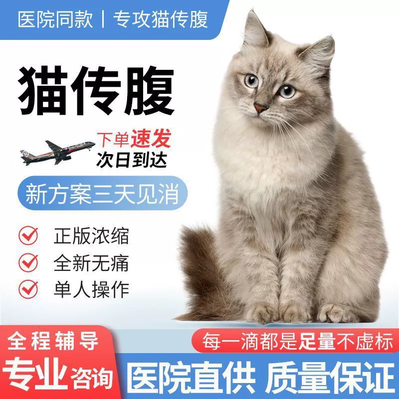 Cat FIPV сухой и влажный кошачий FIPV масляный агент водный агент специальный инъекционный пероральный таблетки FIPV стабильная версия питательный раствор