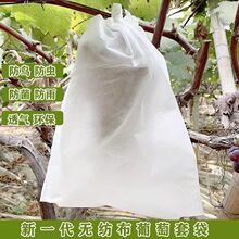 水果套袋防鸟袋通用袋瓜果防虫专用袋无花果葡萄桃子草莓防虫袋