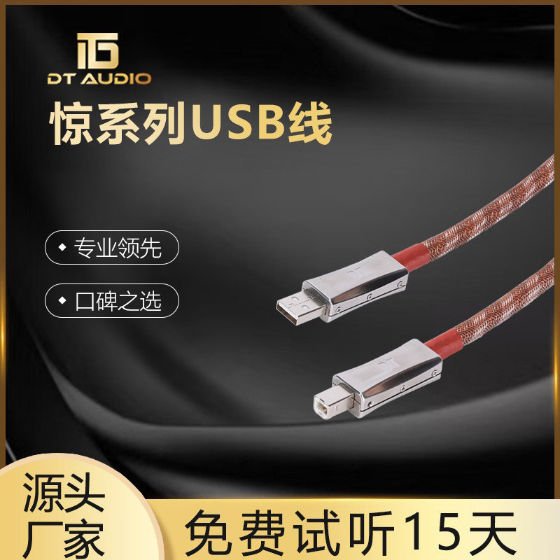 DT惊系列usb线高纯度高品质专业全铜发烧插接线hifi音响音频线