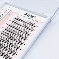 Segmented Girl Group Magnolia V False Eyelashes, Natural Simulation Bare-Face Goddess Eyelashes, Self-Attached Single Clump Eyelashes