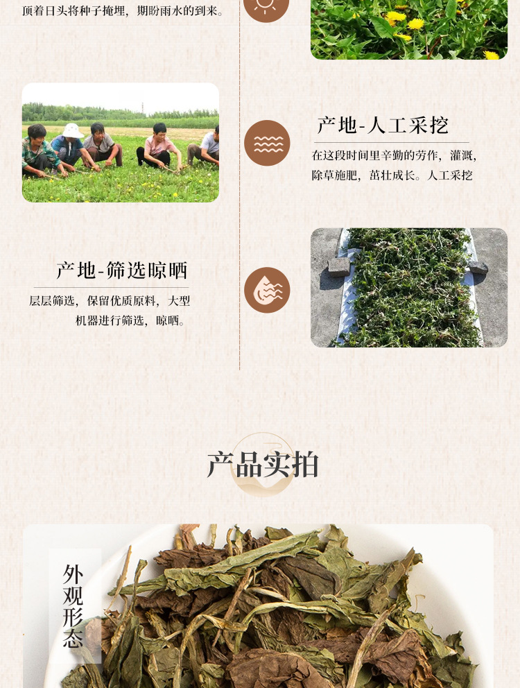 Dandelion Leaf Tea Pu Gong Ying 500g Premium Tender Leaves Sun Dried Loose Herbal Tea quality and texture