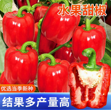 N߲ʽ𽷳콷Lţǽ߲ļ߲˷N