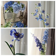 {ɫz{ɫϵY{ɫٻw_m{ɫhѩ