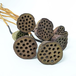 ɏ��ɻ�ɏź�ɻ����Uԭʼ���U �ɻ��ɻ� �ɻ��������l���������