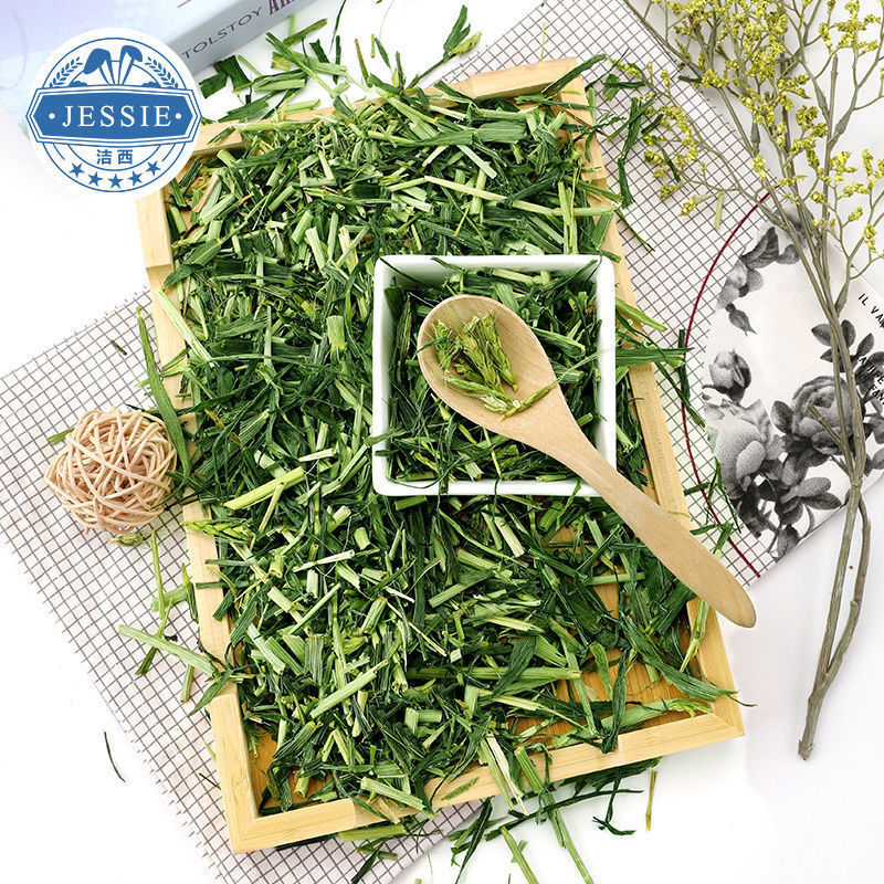 a66845b1-5b5d-4b25-a7d4-6580cba1fc08.jpe