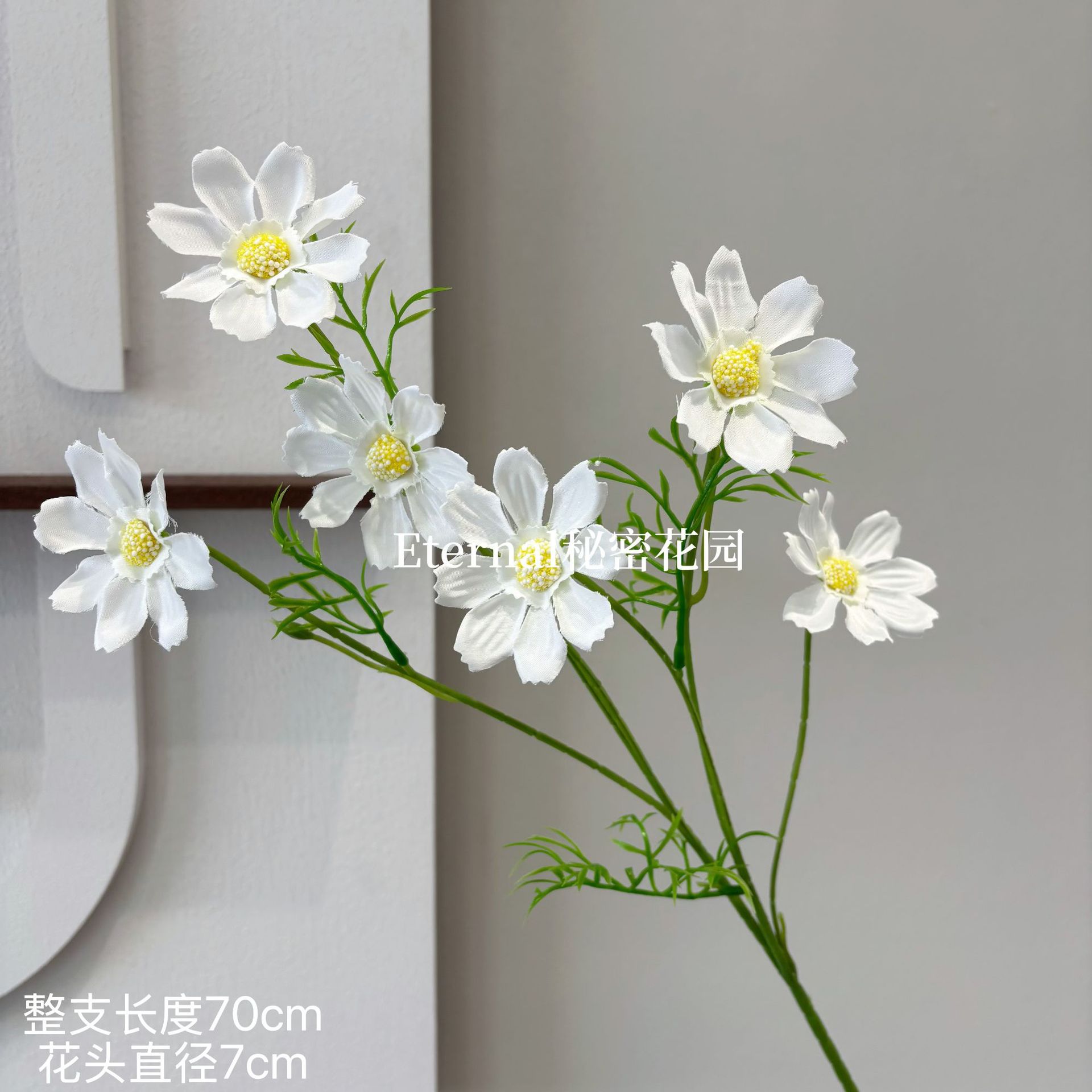 여름 꽃