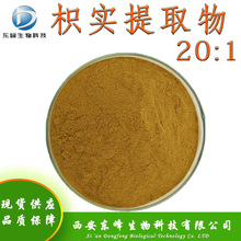20:1枳实提取物 枳实黄酮现货供应水溶枳实粉量大价优枳实提取物