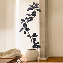 �ڽ�������Gֲ��Ƥ������L����ֲ���҃ȸ߶��p����ش����Ԕ[��