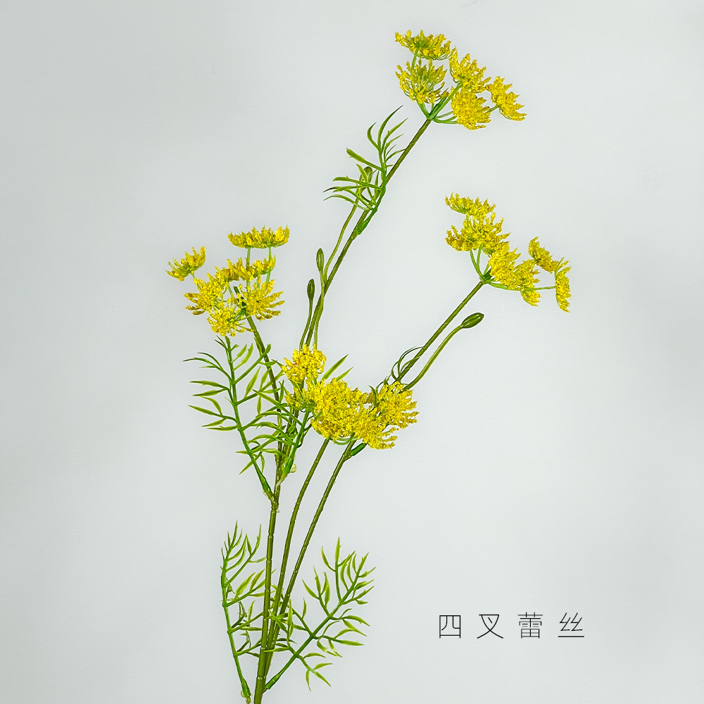 노란색 4갈래 레이스 꽃