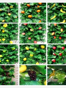 �����~�Ӵ�ˮ���ٻ��ٗl�[���b��߲˾Gֲ�������ܵ��p�@���