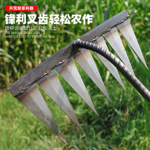 �M�����c�z�^�i�䓰��_�ĳ�������ƽ��������ľ�ֱ�����M����