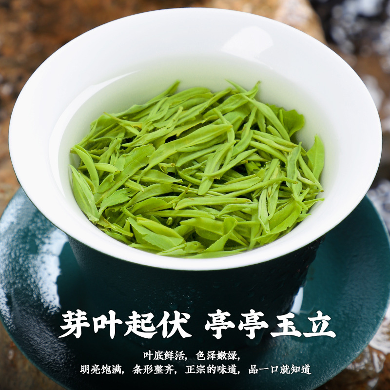 0.75kg 2025 新茶 緑茶 毛尖茶 春茶 本格的な強い香りの芽茶 バルク 750g|undefined