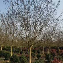 �Ĵ��F���ؑc���5�������6�������8�������10����