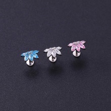 �t��F136�ʹڶ����G23⁺Ͻ����R���ʯ���䴽����w�����Ʒ