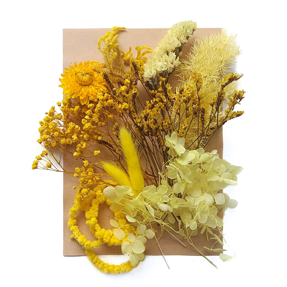 Flor seca flor eterna marco de fotos en relieve paquete de material combinación paquete de flores aromaterapia ventilador A5 bolsa de fábrica al por mayor transfronteriza