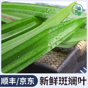 斑斓叶新鲜香兰叶可食用烘焙千层蛋糕芒果糯米饭调味糕点食材原料-阿里巴巴