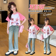 2024年夏季休閒風棉T恤女中大童圓領設計出行穿搭高級感設計批發