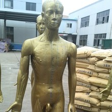 ֱ��178CM��Ȼ�����ͭ��ģ���������Ѩλģ�����ģ��ҽ����ѵ