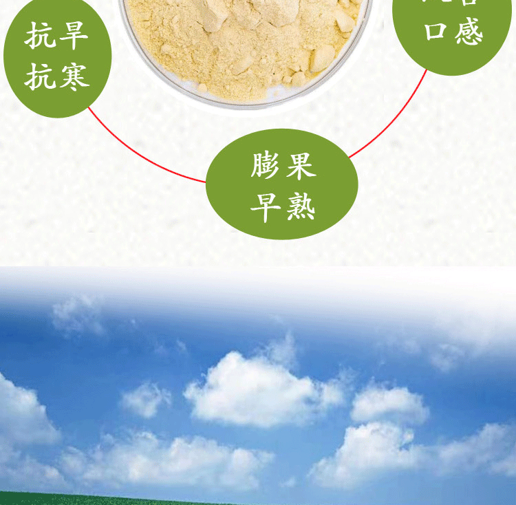 详情1-8_08.gif