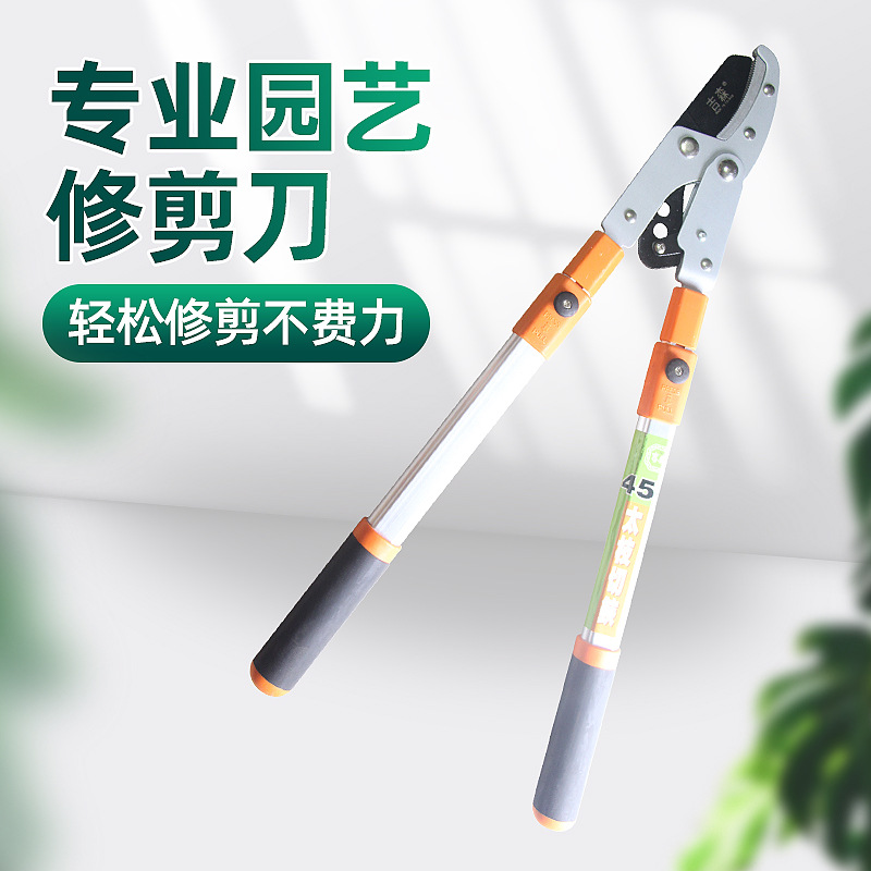 草坪剪省力剪园林果树修枝剪粗树枝伸宿加长大力剪