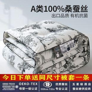 Export A+ Silk Quilt 100% Mulberry Silk Spring & Fall Quilt Cotton Air-Conditioned Quilt Dormitory Single and Double Quilt Warm Winter Quilt