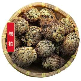 卷柏 中药材九死还魂草干草 不死草 复活草批发