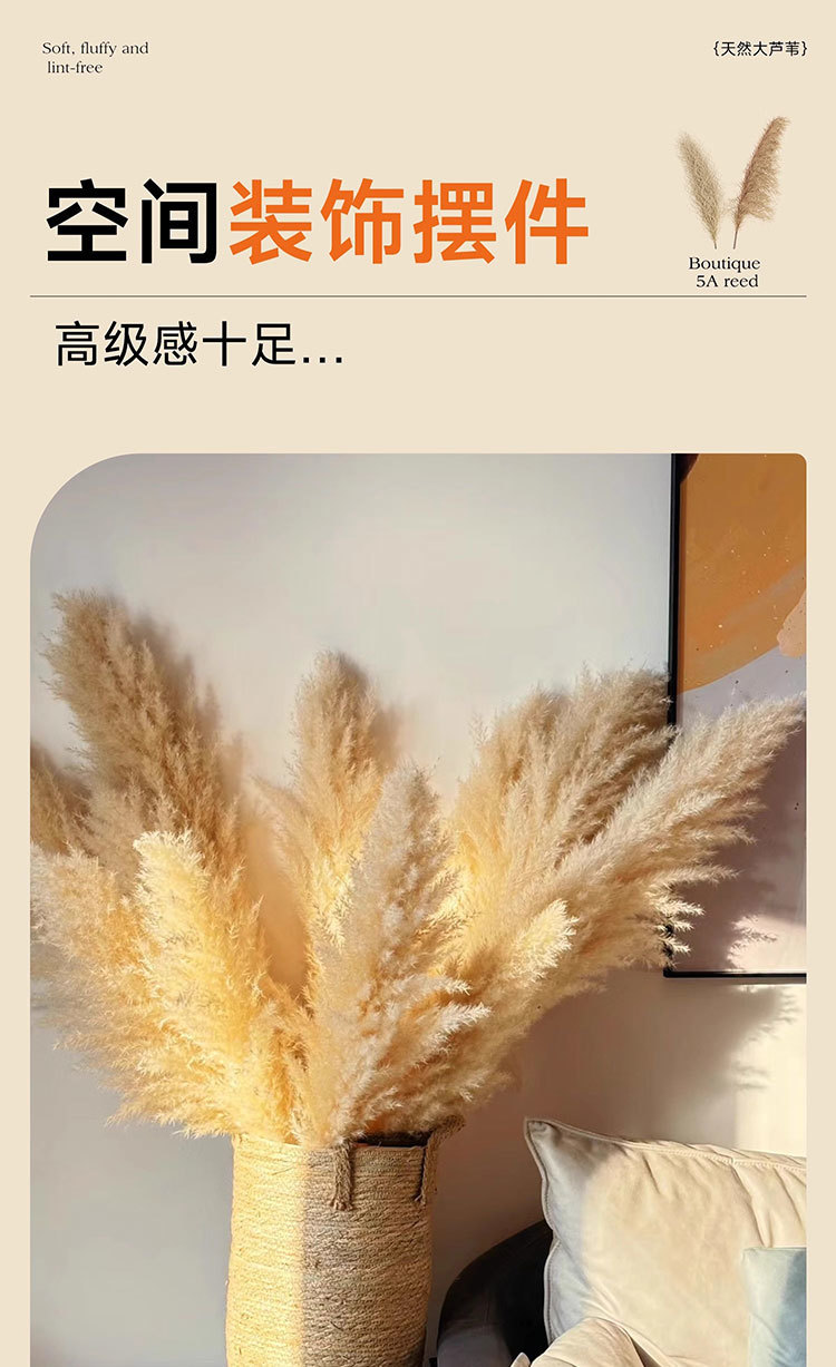 918cb36b-5a16-4dce-aa7a-524031db26da.jpe