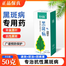 戊唑醇黑斑病花卉绿植落叶病白粉病纹枯病批发杀虫剂地下害虫50g