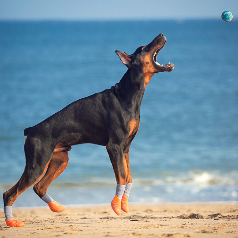 Simple Pod 1st Pet Waterproof Sports Shoes for Dogs, Waterproof and Non-slip Shoes for Small to Medium Dogs, Waterproof Rain Shoes, Wholesale