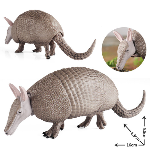 Cross-border children's cognitive simulation wild animals armadillos, armored rats, wild scientific and educational animal models, toys, plastic ornaments
