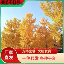 һl~yӘ׹ͥԺeGľеyӴ