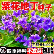 �ϻ��ض��N�Ѳ��ϻ��ض����N���ļ��Nֲ����ș�ÿ�ض��N��