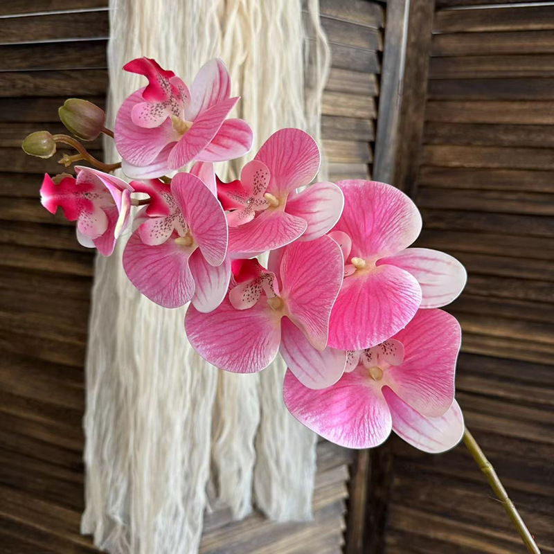 3D 호접란 7개 머리-핑크