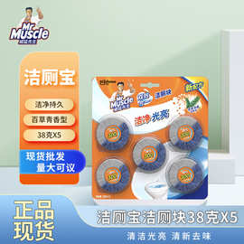 威猛先生蓝泡泡洁厕宝百草清香固体洁厕灵洁厕块洁厕球38g*5块