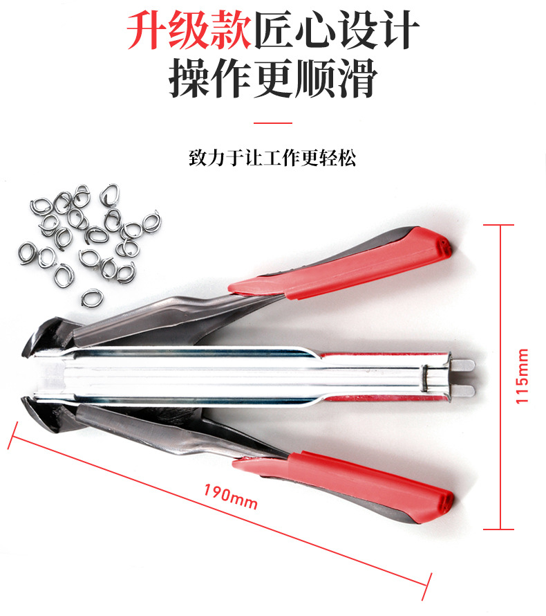 详情1 (8)