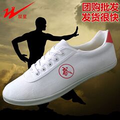 Double Star Martial Arts Shoes with Cowhide Sole, Unisex Canvas Tai Chi Shoes for Practicing Kung Fu, Morning Exercise, Anti-Slip, Durable, Lightweight, Breathable