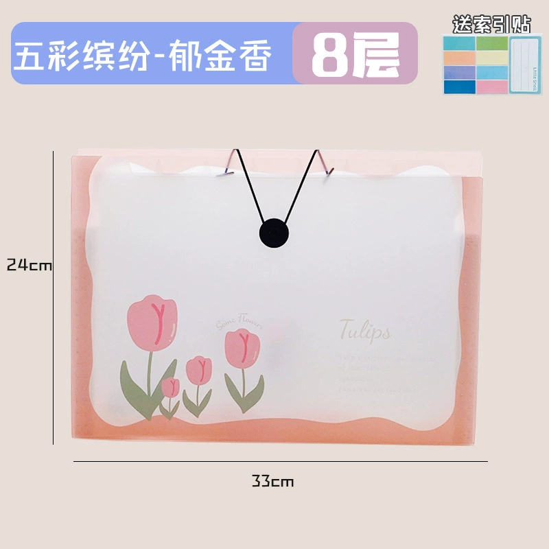 Capacious organ, multilayer bag for documents, storage system, folder for folders