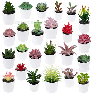 Spot Succulent Simulation Potted Plant Amazon Simulated Succulent Green Plant Bonsai Home Small Ornaments Succulent Plant Gifts