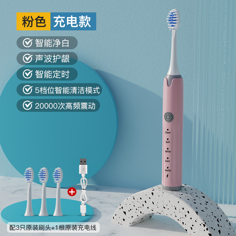 B 핑크 충전 모델 [3 브러시 헤드 + USB 충전 라인]