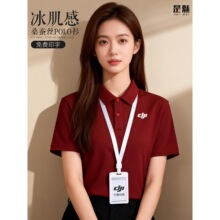 ���Ʊ��z��polo��������logo��I�F�w�k�����ĆT����T��