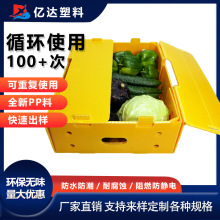 水果箱蔬菜箱果蔬周转箱箩筐放置可拆叠中空板塑料箱子pp板运输箱