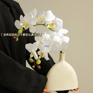 ��֧�����m���ָмٻ��[�O�[���Ƶ����һ��b��m���ɻ���