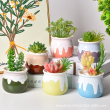 创意流釉多肉花盆亚马逊出口陶瓷家居园艺个性老桩肉肉盆批发绿植
