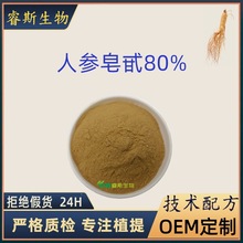 人参皂苷80%含rg3rh2人参根提取物人参原料粉皂甙现货100g/袋